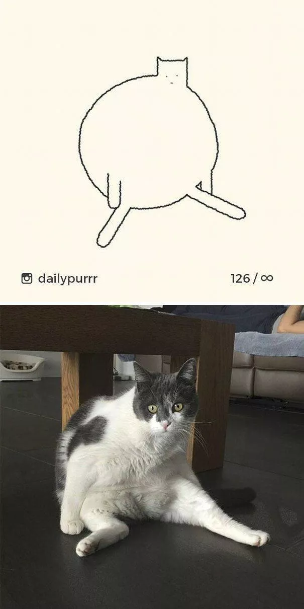Cat drawings very stupid
