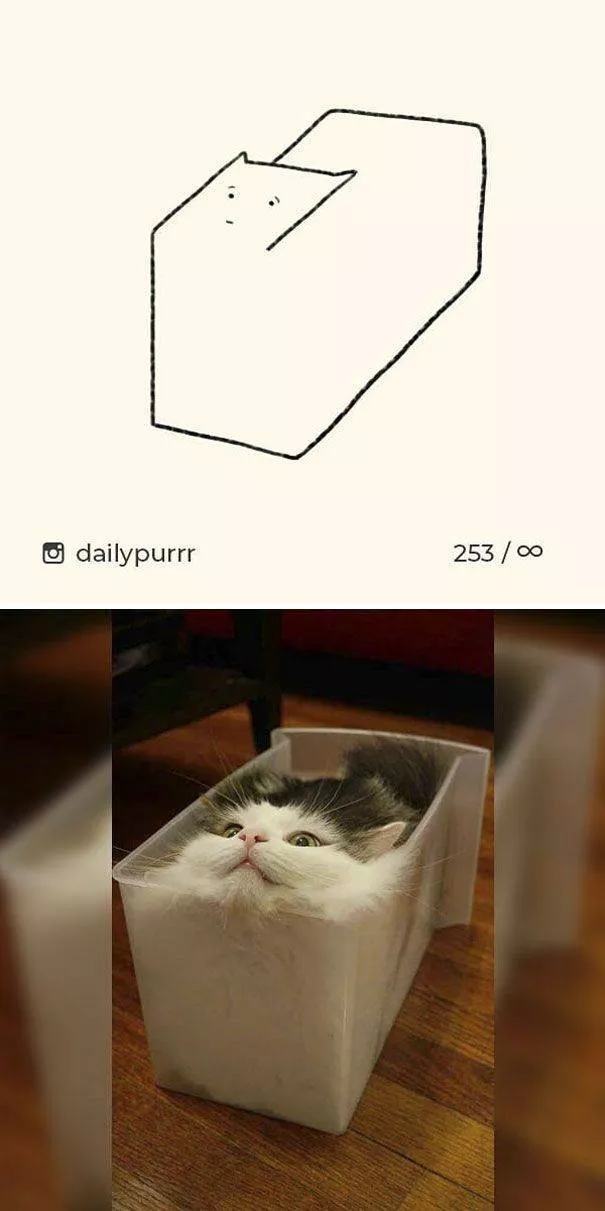 Cat drawings very stupid - #22 