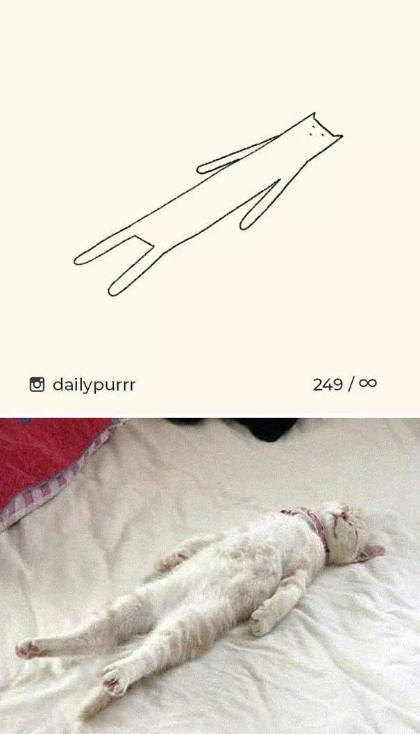 Cat drawings very stupid - #24 