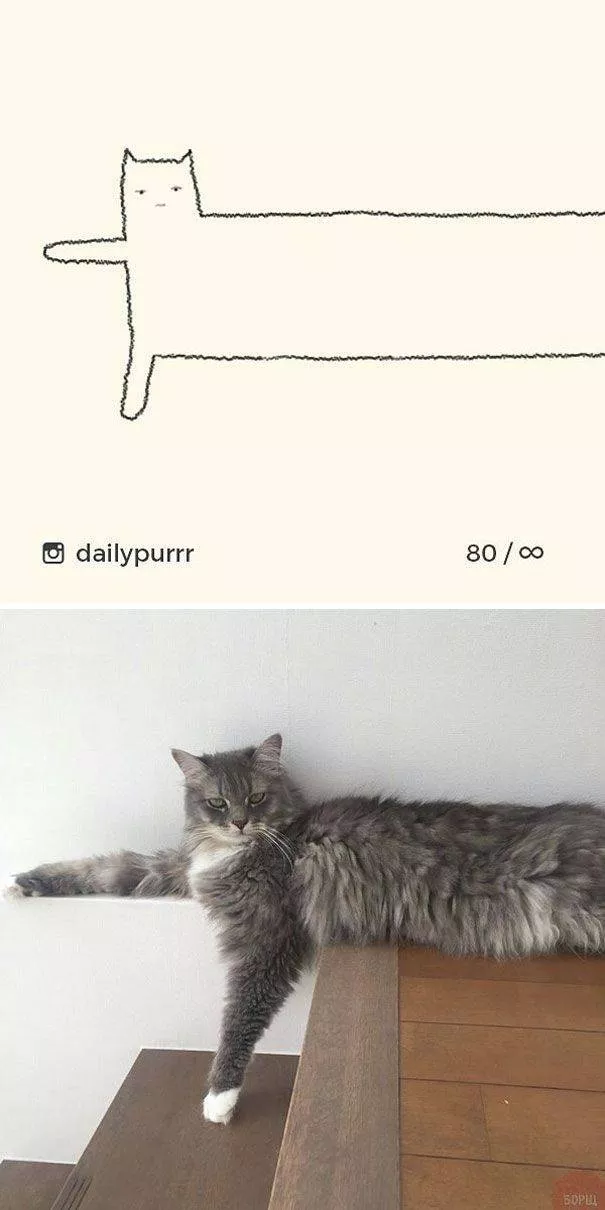 Cat drawings very stupid - #5 