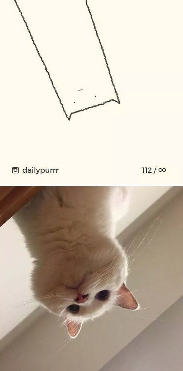Cat drawings very stupid - #6 