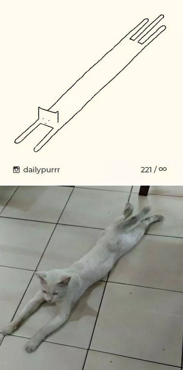 Cat drawings very stupid - #8 