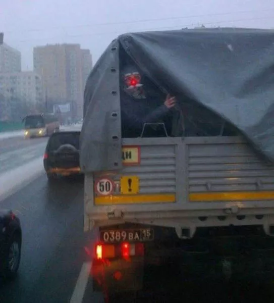 Meanwhile in russia - #36 