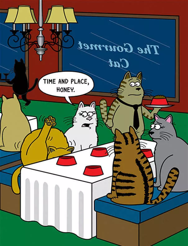 Illustrations drles de chats - #2 