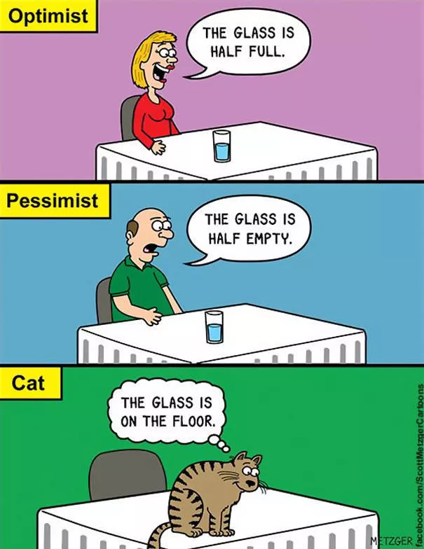 Illustrations drles de chats