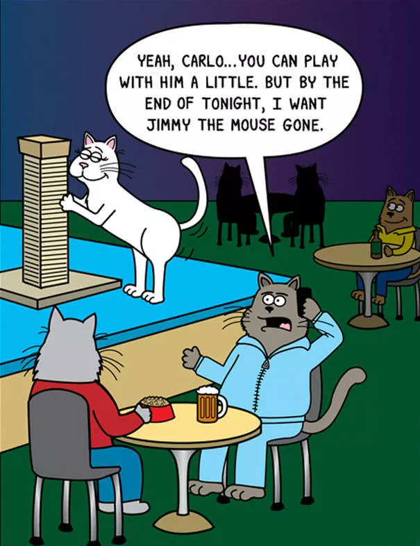 Illustrations drles de chats - #24 