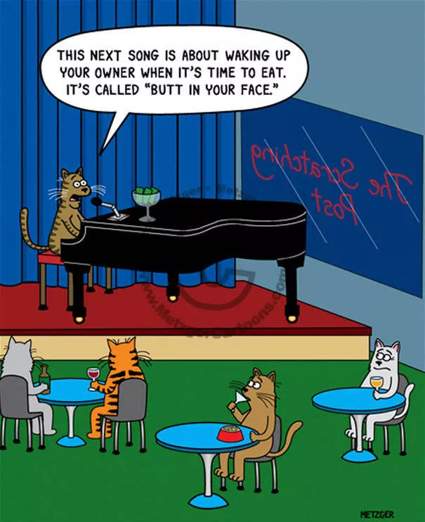 Illustrations drles de chats - #3 