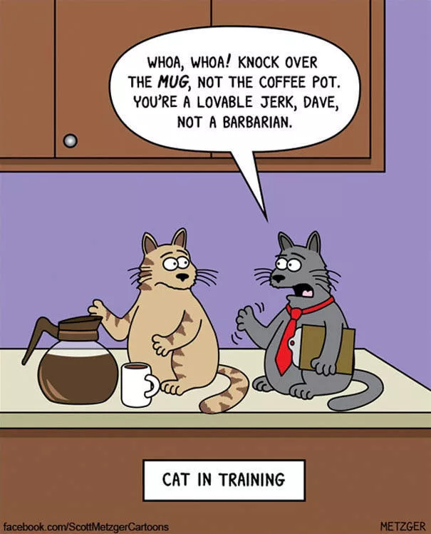 Funny illustrations of cats - #33 