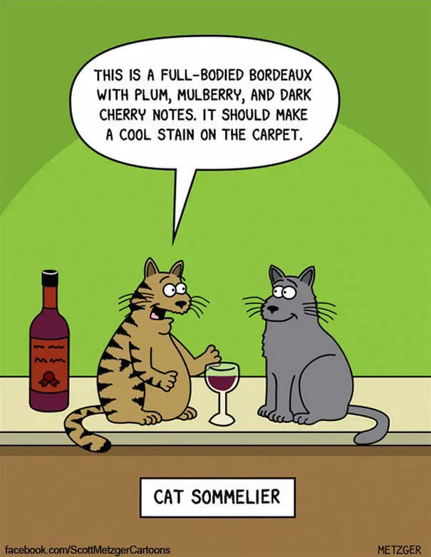 Illustrations drles de chats - #37 