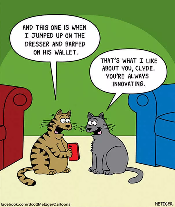 Funny illustrations of cats - #7 