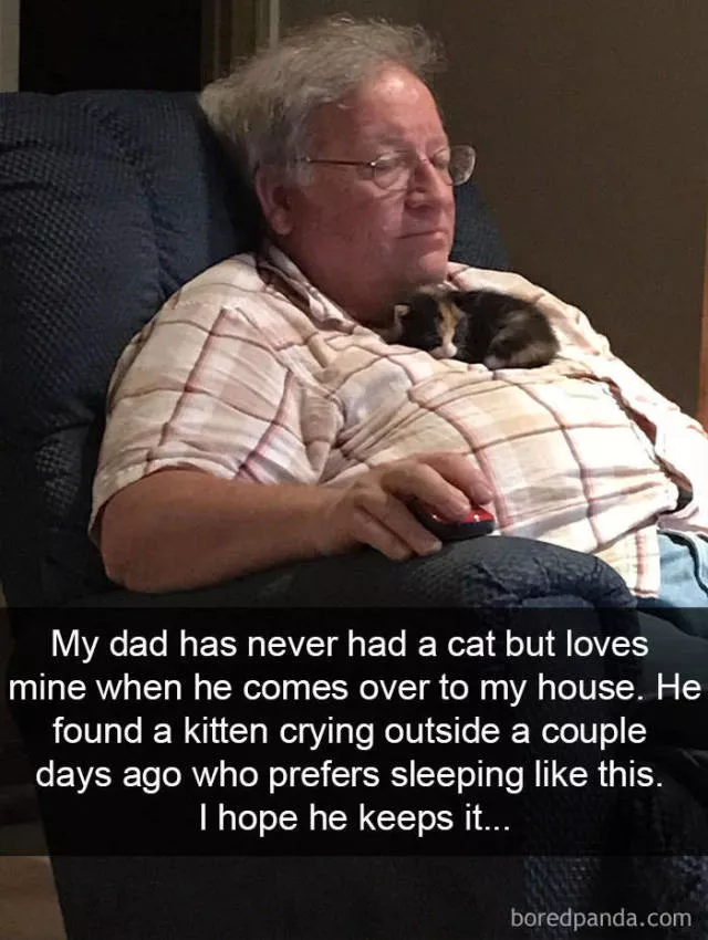 Snapchat for cats - #16 