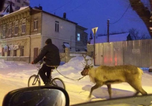 These things in russia is simply normality - #14 