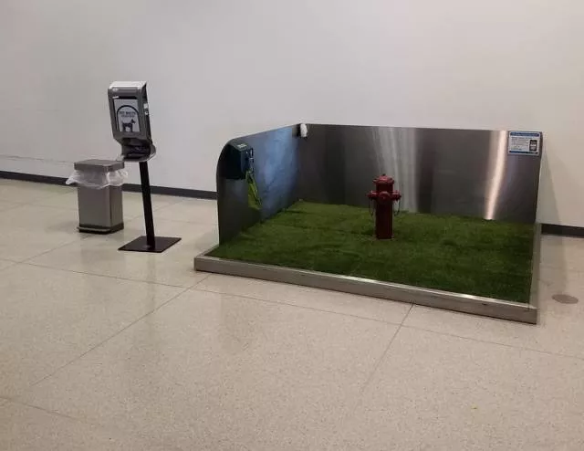The weirdest things you can see at airports