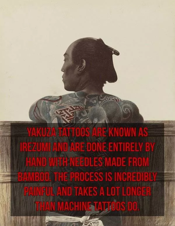 Des chose que vous ne connaissait pas propos des yakuza - #15 