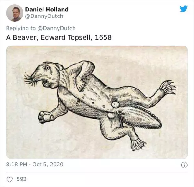 Unknown animals drawn by artists from the past - #14 