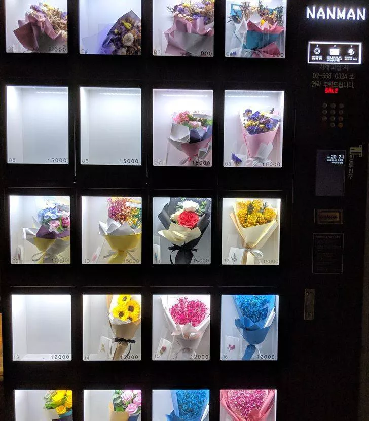 Core du sud le futur est l - #9 Distributeurs automatiques de fleurs