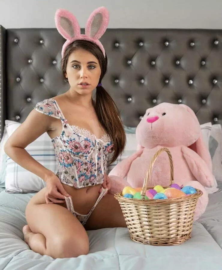 Sexy bunnies - #3 