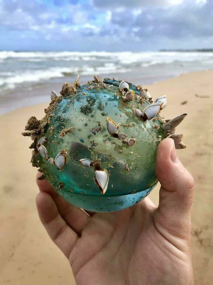 Finds on the beaches like no other - #25 