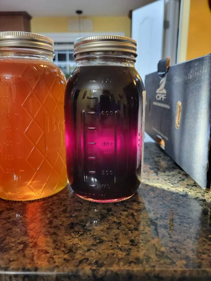 Things you never thought - #22 Purple honey in North Carolina