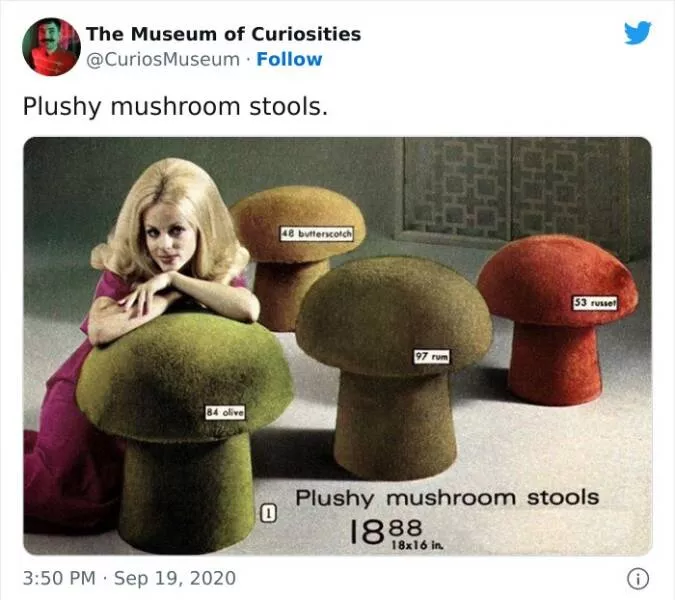 Museum curiosities - #49 
