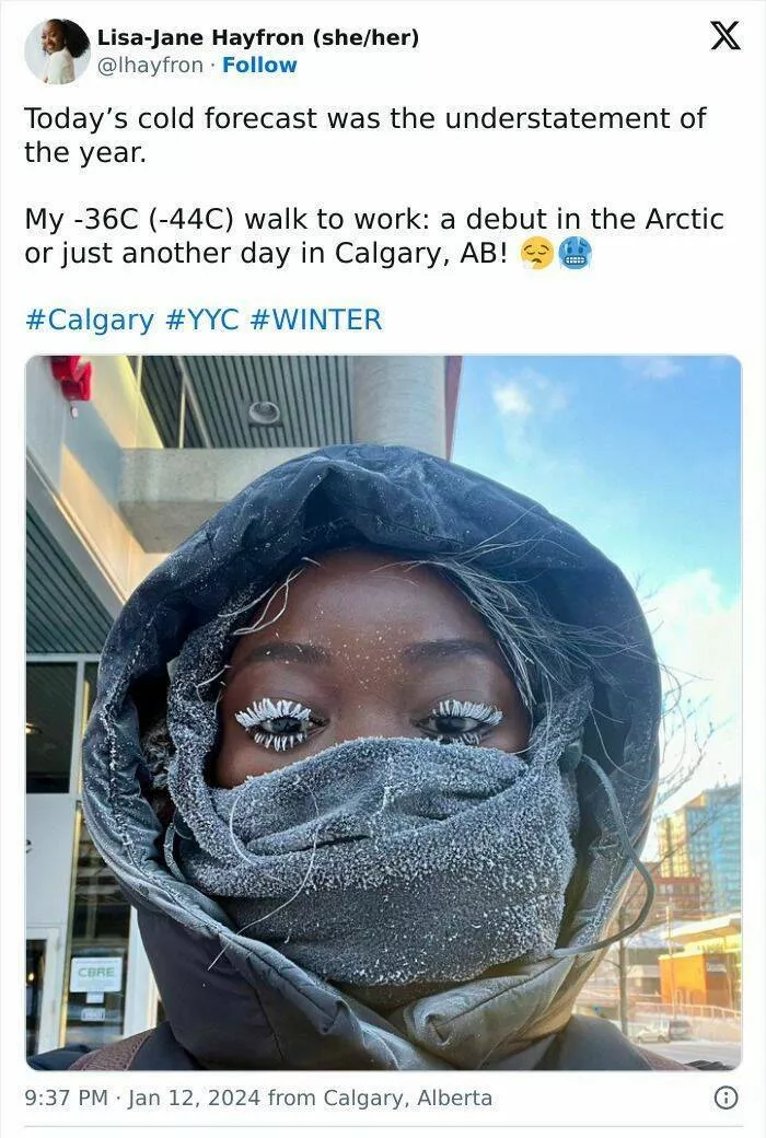 Gel hivernal les canadiens partagent des instantans glaciaux de lhiver - #7 Juste une autre journée à Calgary