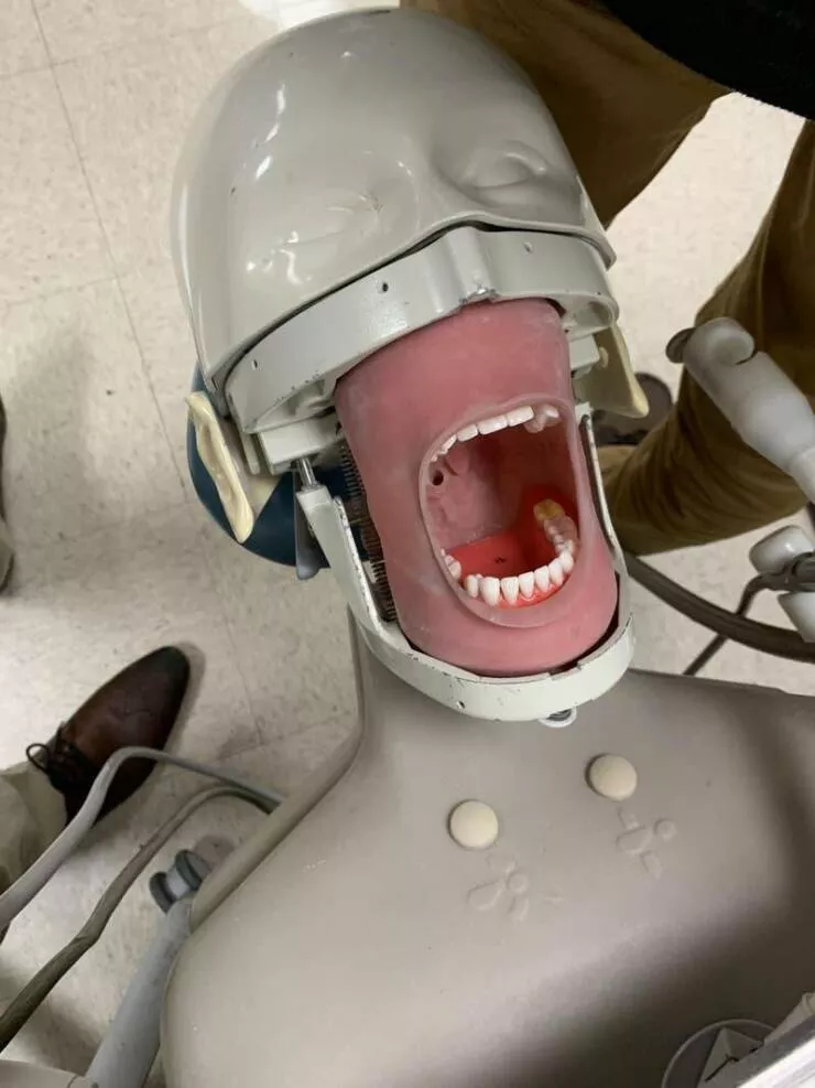 Merveillements visuels une collection de photos vraiment fascinantes - #16 Les dentistes s'entraînent sur des mannequins absolument terrifiants