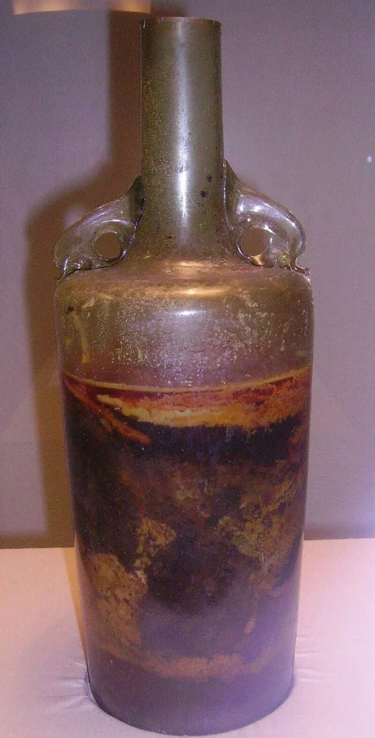 Visual marvels explore a collection of truly fascinating pictures - #18 The Speyer wine bottle, the oldest known bottle of wine on Earth