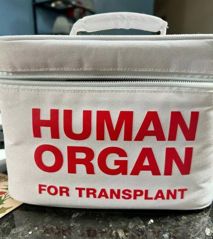 Queens of comedy partners in laughter hilarious girlfriends and wives - #14 My Wife Is a Nurse, and This Is Her Lunch Box