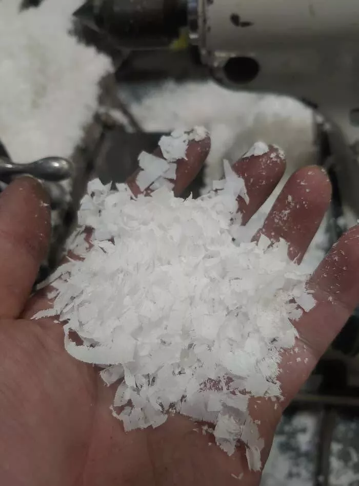 Forbidden indulgences tempting visual delights - #1 These wax shavings attempting to pass as shredded coconut: