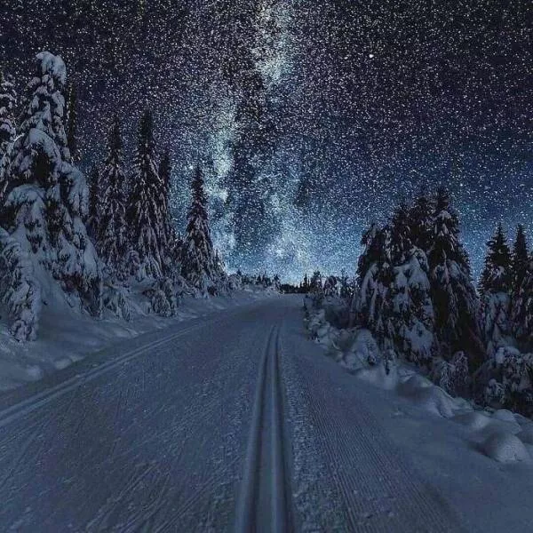 Dcouvrir la splendeur norvgienne des photos captivantes mettant en valeur une beaut unique - #4 Ski sous les étoiles en Norvège