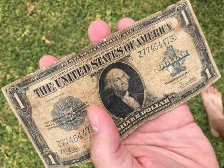 Fascination unleashed captivating captures in a gallery of truly mesmerizing photos - #7 This is what a dollar bill from 100 years ago looked like: