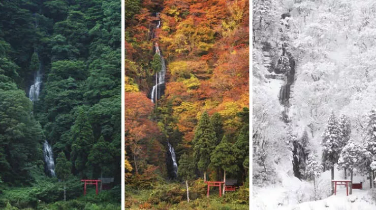 Japan unveiled exploring the uniqueness of a fascinating country - #19 I Came Back To This One Waterfall In Yamagata During 3 Different Seasons