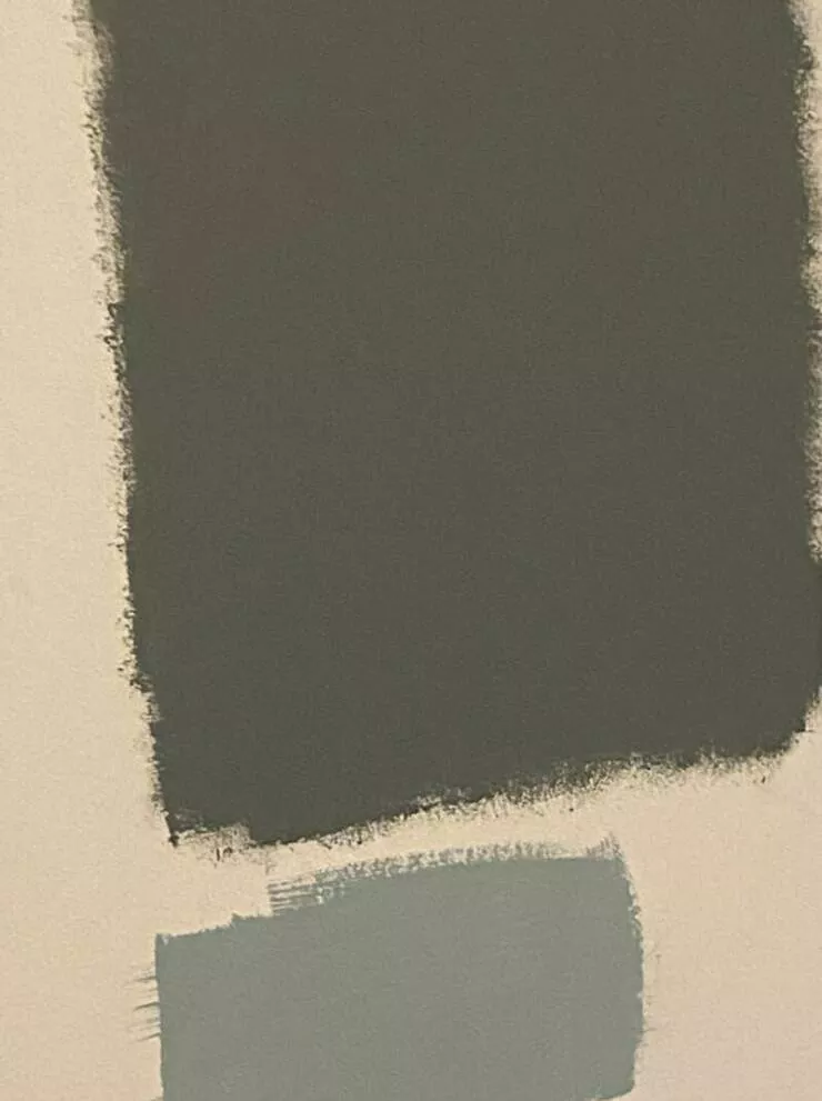 Workplace whimsies unveiling the comedy of errors in ridiculous office mishaps - #15 The employee who handed over this paint color that does NOT, in fact, match the tester (on top):