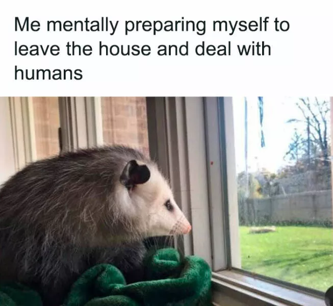 Soulful laughter therapeutic memes to lift your mood - #17 