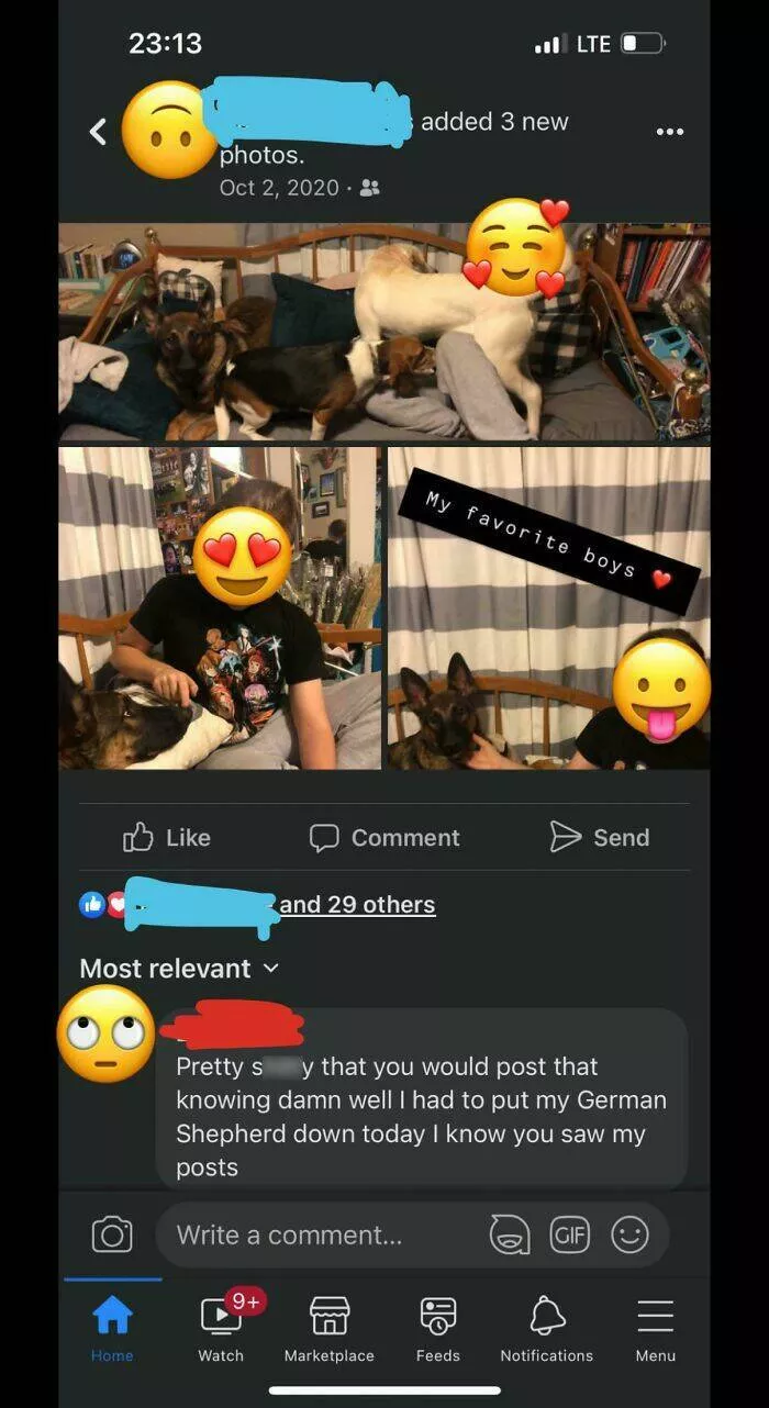Ego roasting cringe worthy posts that invite critique - #18 Posted Some Pics Of My Fianc And Dogs, This Karen Who I Hadnt Talked To In Over A Year Just Had To Make It About Her. And No I Did Not See Her Post