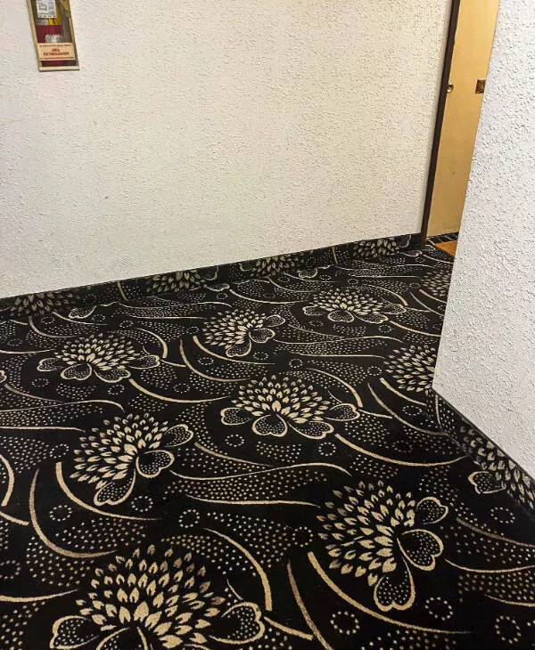 Instant gratification images that bring immediate satisfaction - #9 The unusual pattern of carpeting in this building.