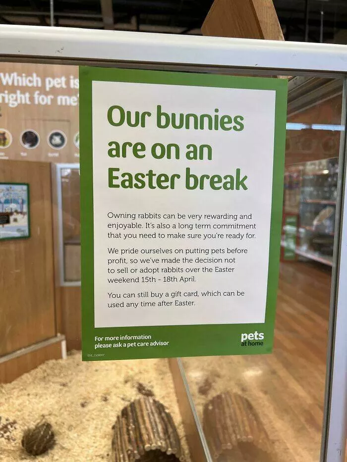 Intriguing discoveries subtly surprising finds that captivate - #2 This particular pet store abstains from selling bunnies during Easter