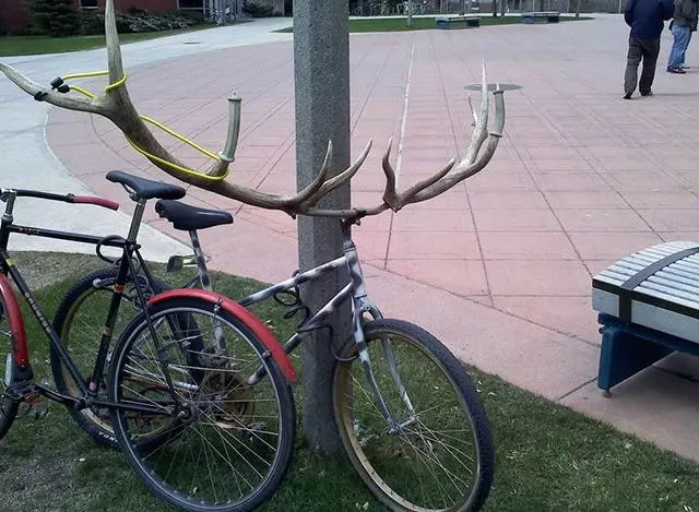 Top funny and unusual bicycle ever seen - #54 