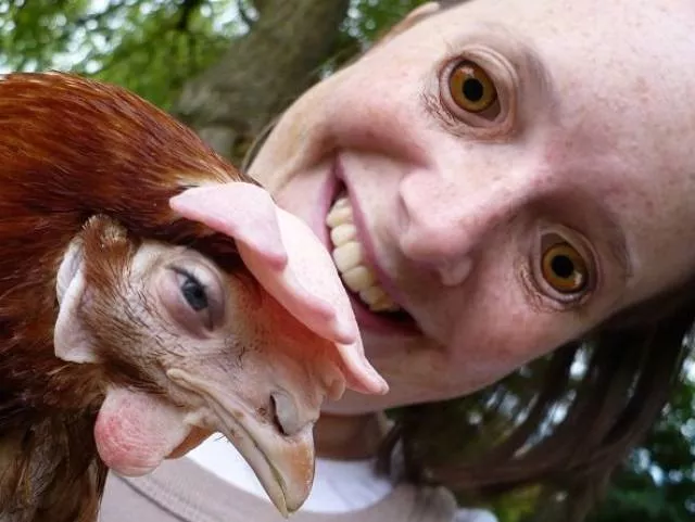 The 40 most wtf pictures ever