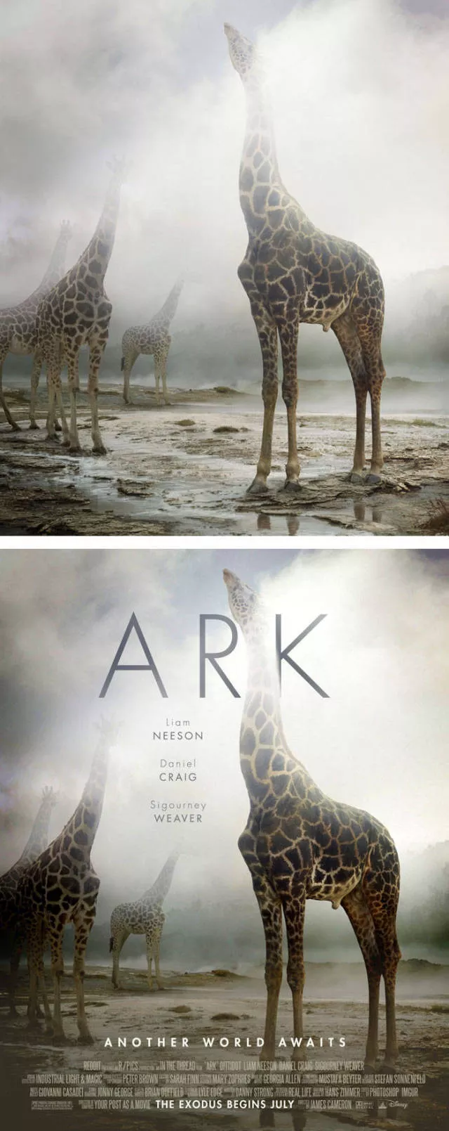 Common photos in movie posters