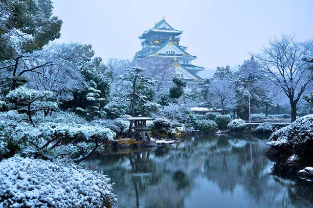 Heres why it is imperative to visit japan - #19 