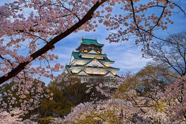Heres why it is imperative to visit japan