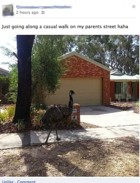Bienvenue en australie