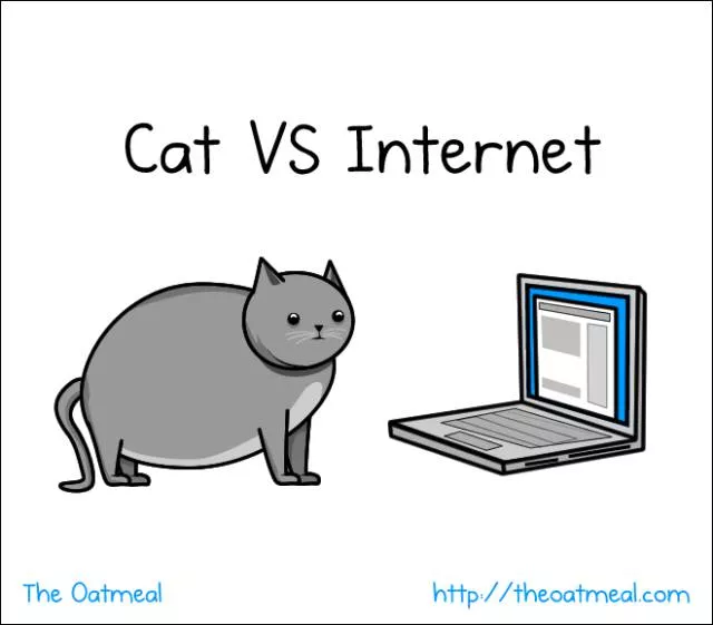 Les chats contre linternet