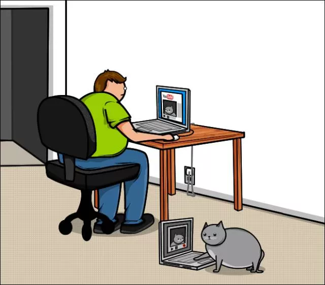 Cats vs internet - #12 