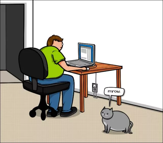 Cats vs internet - #2 