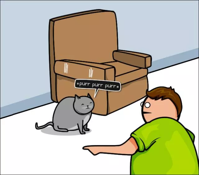 Cats vs internet