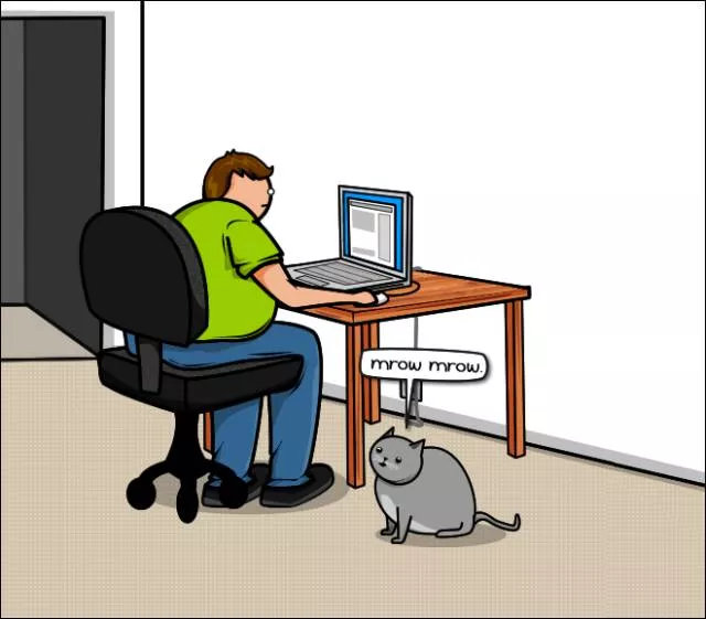 Cats vs internet - #3 