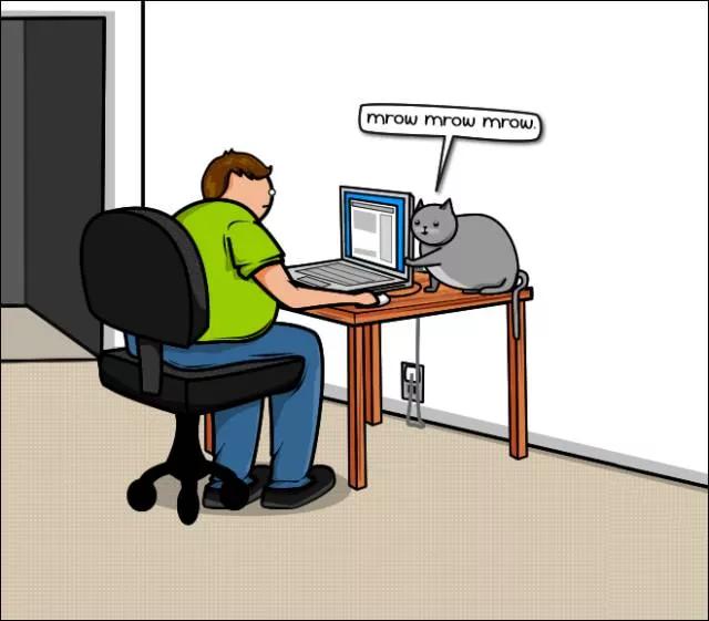 Cats vs internet - #4 