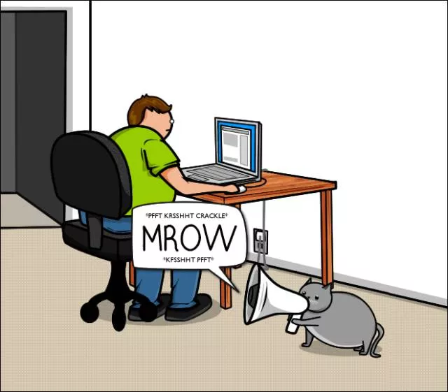 Cats vs internet